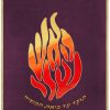 ⁦פרוכת האש שלי / P153⁩ – תמונה ⁦13⁩