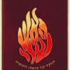 ⁦פרוכת האש שלי / P153⁩ – תמונה ⁦7⁩