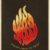 ⁦פרוכת האש שלי / P153⁩ – תמונה ⁦9⁩