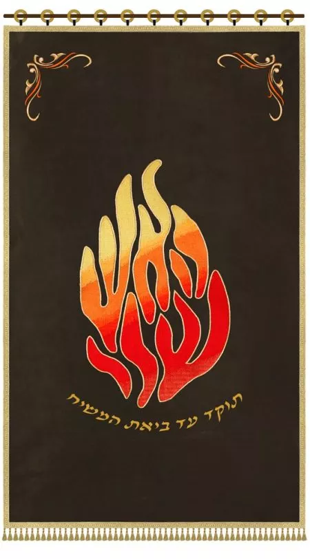 ⁦פרוכת האש שלי / P153⁩ – תמונה ⁦9⁩