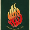 ⁦פרוכת האש שלי / P153⁩ – תמונה ⁦10⁩