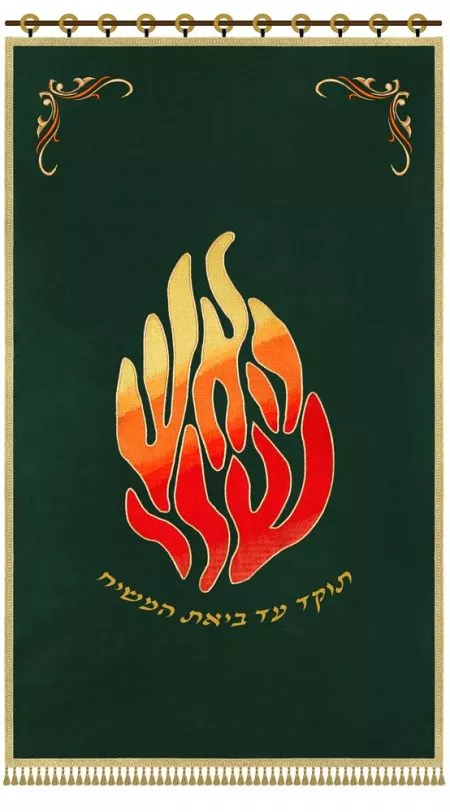 ⁦פרוכת האש שלי / P153⁩ – תמונה ⁦10⁩