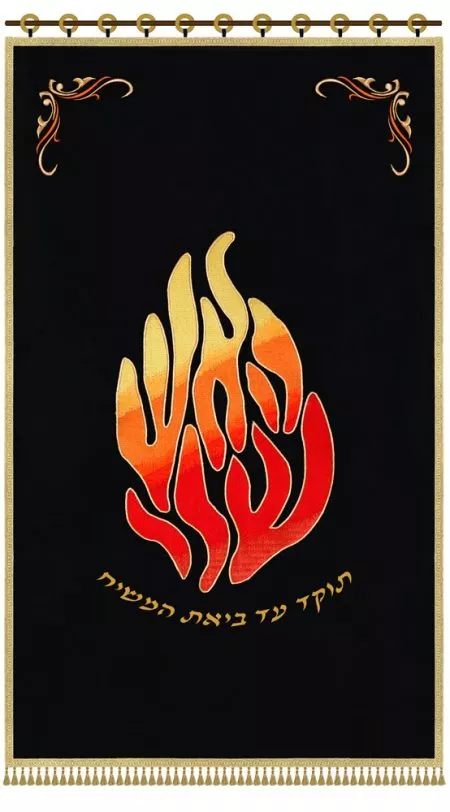 ⁦פרוכת האש שלי / P153⁩ – תמונה ⁦12⁩