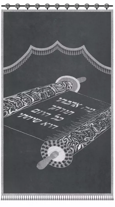 ⁦פרוכת ספר תורה פתוח / P169⁩ – תמונה ⁦8⁩