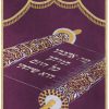 ⁦פרוכת ספר תורה פתוח / P169⁩ – תמונה ⁦10⁩