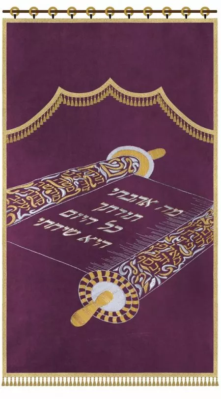 ⁦פרוכת ספר תורה פתוח / P169⁩ – תמונה ⁦10⁩