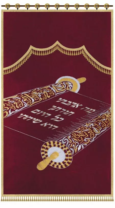 ⁦פרוכת ספר תורה פתוח / P169⁩ – תמונה ⁦11⁩