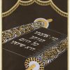 ⁦פרוכת ספר תורה פתוח / P169⁩ – תמונה ⁦9⁩