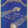 ⁦פרוכת ספר תורה פתוח / P169⁩ – תמונה ⁦13⁩