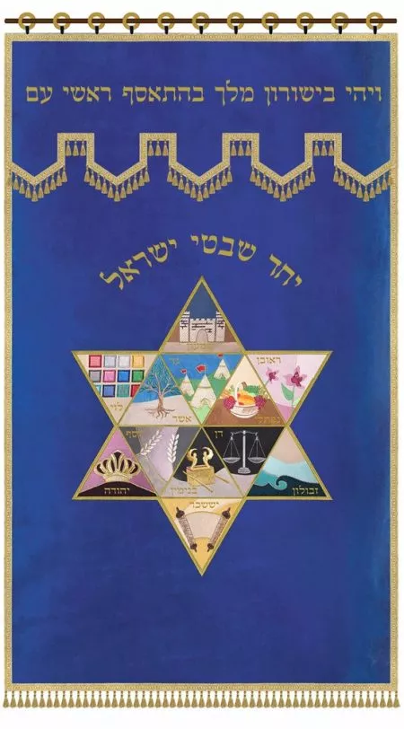 Parochet Magen David 12 Tribes / P166 - Image 14