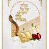 Parochet Chagim Kotel decor