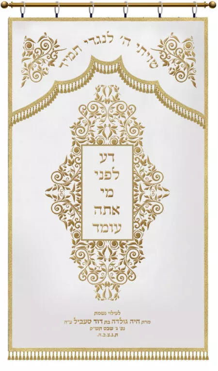 ⁦פרוכת מסגרת אורנמנט / P213⁩ – תמונה ⁦2⁩