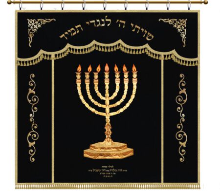 Parochet Menorah wide