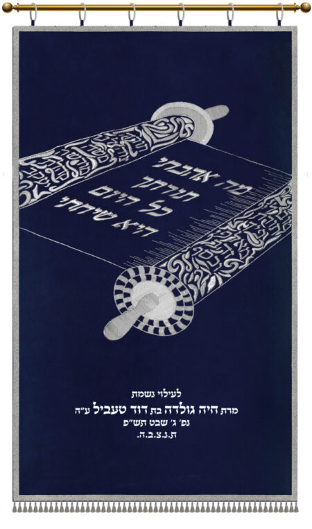 Parochet Open Torah Scroll blue