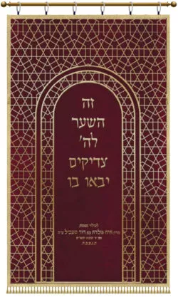 Parochet Textured Magen David Red