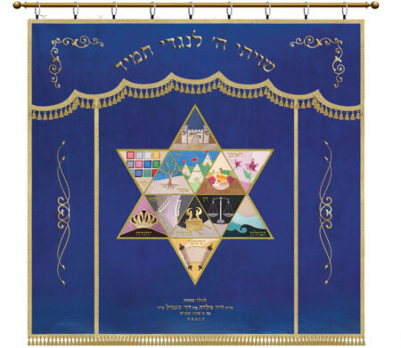 Parochet Magen David Tribes wide