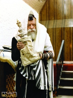 the rebbe